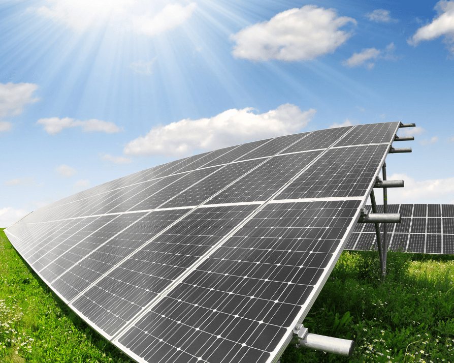 Solarni paneli na otvorenom polju pod sunčanim nebom